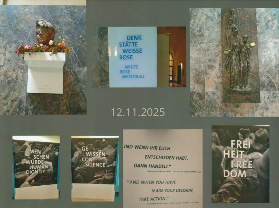 Frauen Gem Weisse Rose