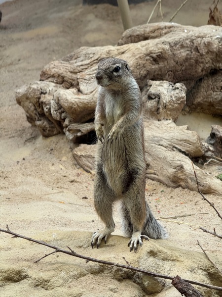 Bild Impuls der Woche 28.11.2025