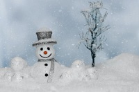 Schneeman