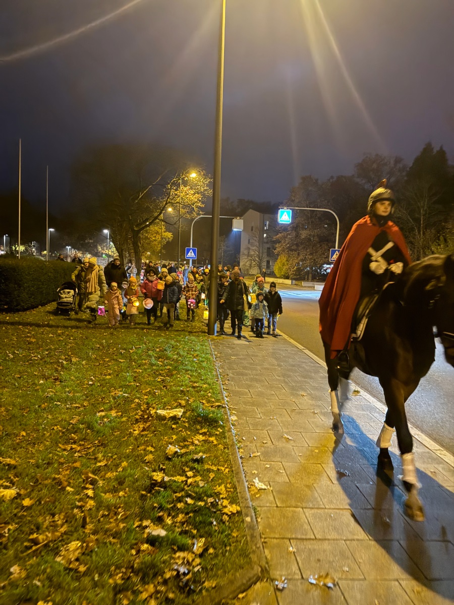 St. Martin mit Pferd in Königin der Märtyrer