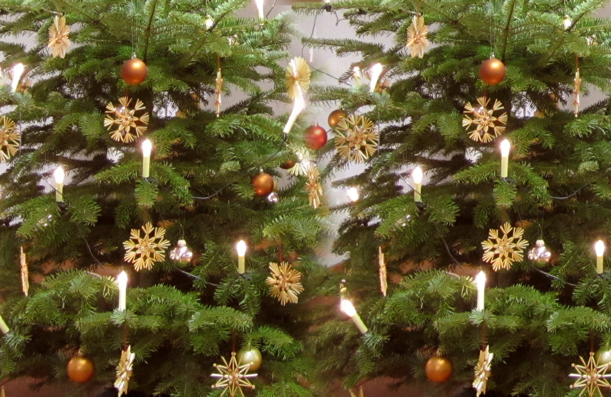 weihnachtsbaum