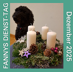 2025-12-01-BANNER-Fanny-Dez