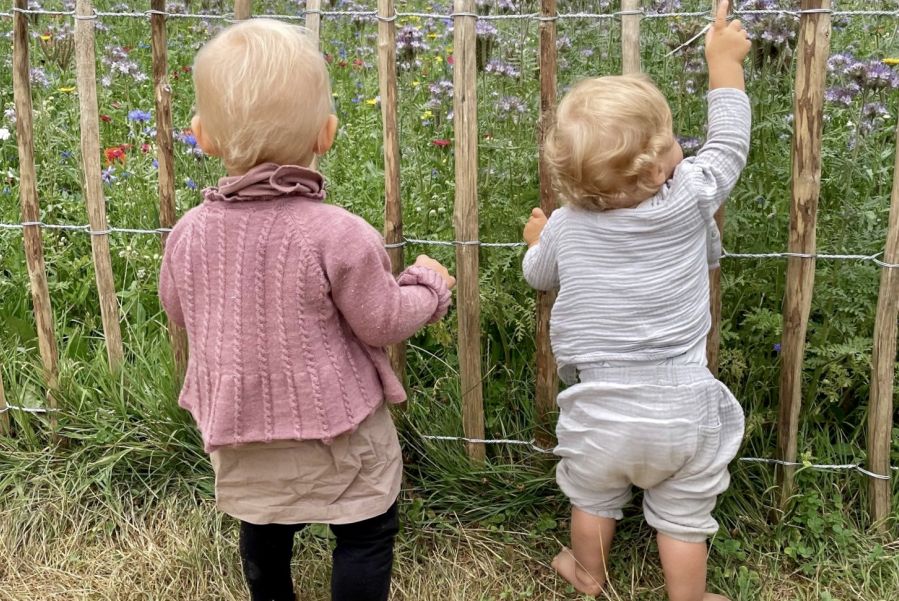 Titelbild Pilotprojekt