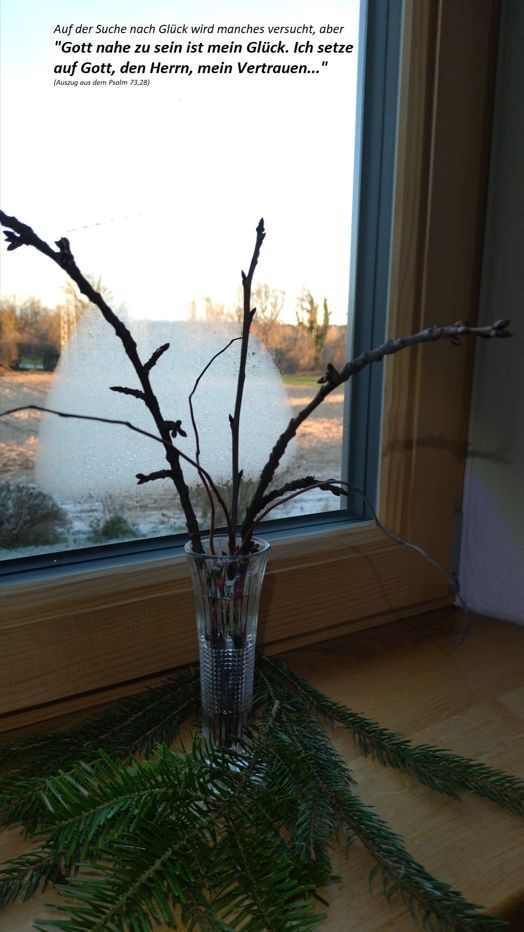 Adventskalender<br/>Glück<br/>Barbarazweig