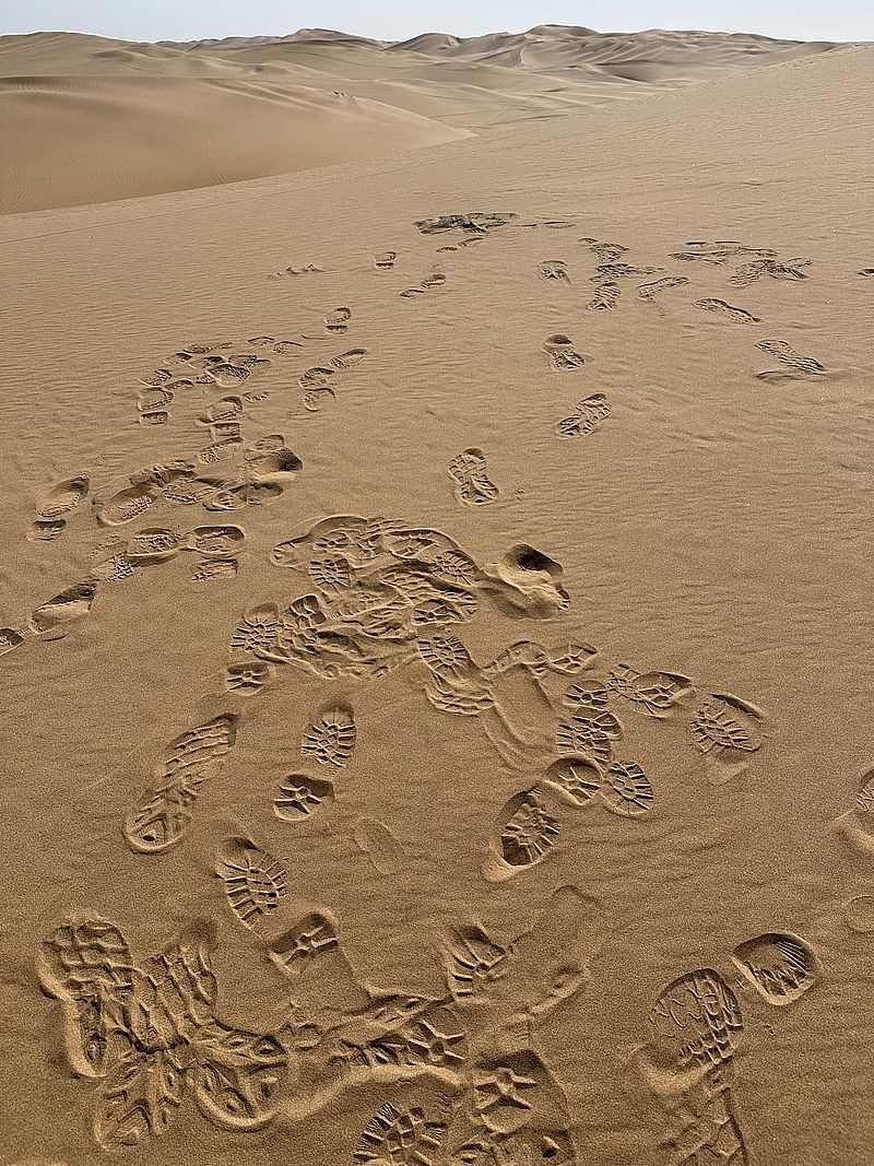 Spuren<br/>Adventskalender