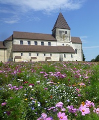 Kirche hinter Wiese