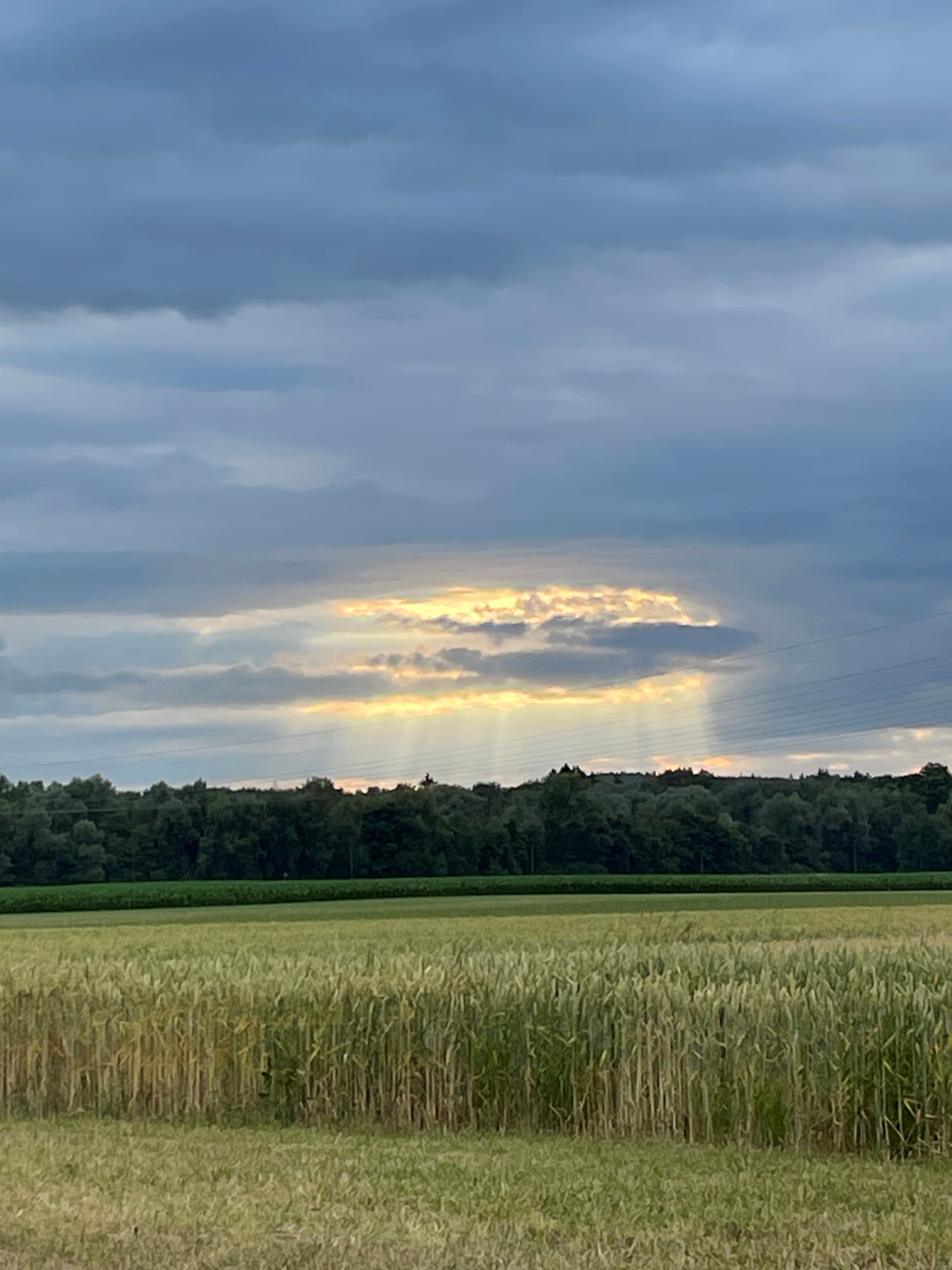 Licht<br/>Adventskalender