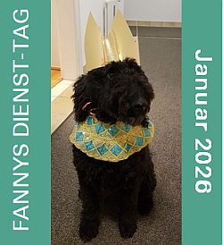 2026-01-05-BANNR-Fanny-Jan_250