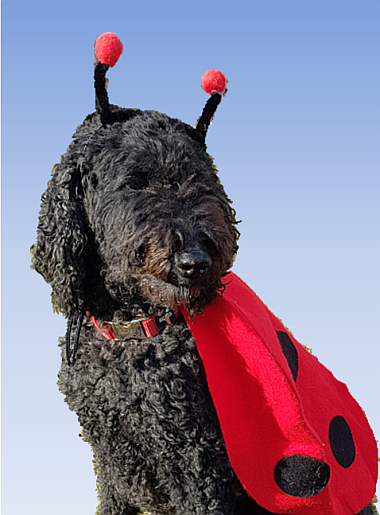 2026-02-01-BILD-2-Fanny_380