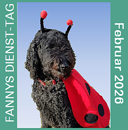 2026-02-01-BANNER-Fanny-Febr_250