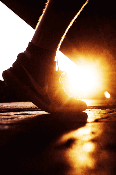 Laeuferfuss im Licht