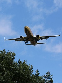 Flugzeug fliegt über Baum