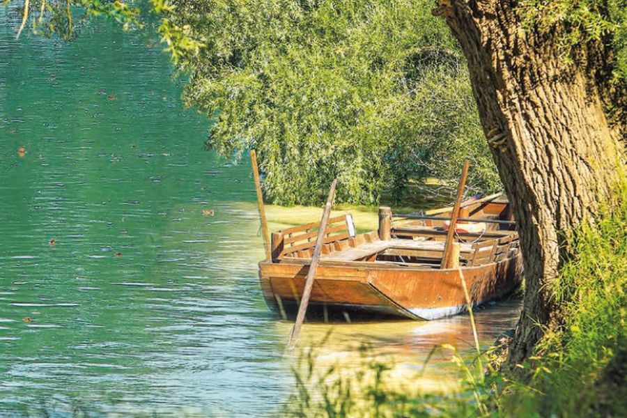 Cover des Gästebriefs 2021 mit einem Ruderboot am Ufer eines Sees mit Bäumen und Sträuchern