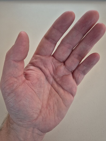 Bild Impuls der Woche 20.2.2026