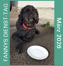 2026-03-02-BANNER-Fanny-Mrz