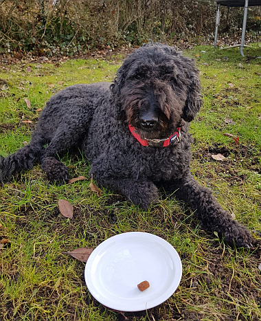 2026-03-01_Bild1-Fanny_380