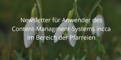 Newsletter 04