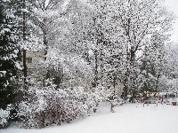 Schnee 2013
