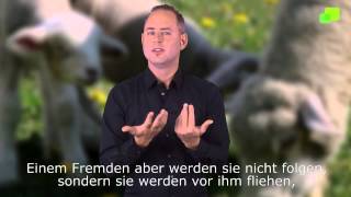 Platzhalter-Bild fuer YouTube-Video