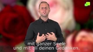 Platzhalter-Bild fuer YouTube-Video