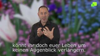 Platzhalter-Bild fuer YouTube-Video