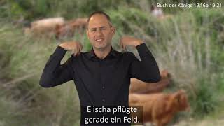 Platzhalter-Bild fuer YouTube-Video