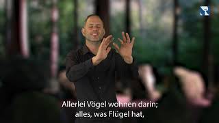 Platzhalter-Bild fuer YouTube-Video