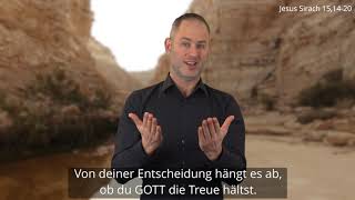 Platzhalter-Bild fuer YouTube-Video