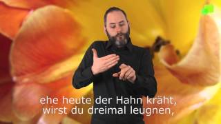 Platzhalter-Bild fuer YouTube-Video