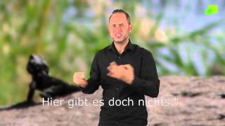 Platzhalter-Bild fuer YouTube-Video