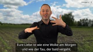 Platzhalter-Bild fuer YouTube-Video