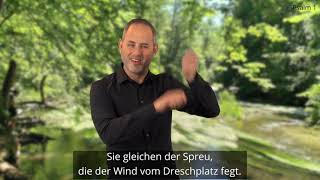 Platzhalter-Bild fuer YouTube-Video