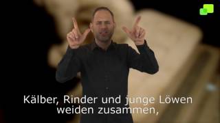 Platzhalter-Bild fuer YouTube-Video