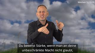 Platzhalter-Bild fuer YouTube-Video