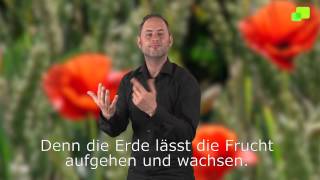 Platzhalter-Bild fuer YouTube-Video