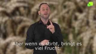 Platzhalter-Bild fuer YouTube-Video