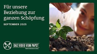 Platzhalter-Bild fuer YouTube-Video
