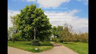 Platzhalter-Bild fuer YouTube-Video
