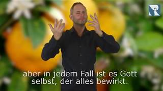 Platzhalter-Bild fuer YouTube-Video