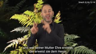 Platzhalter-Bild fuer YouTube-Video