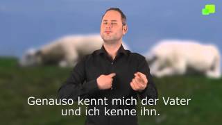 Platzhalter-Bild fuer YouTube-Video