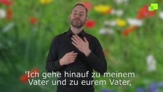 Platzhalter-Bild fuer YouTube-Video