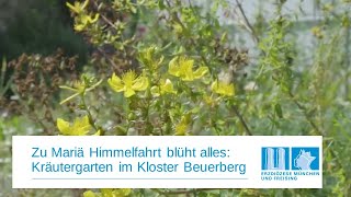 Platzhalter-Bild fuer YouTube-Video