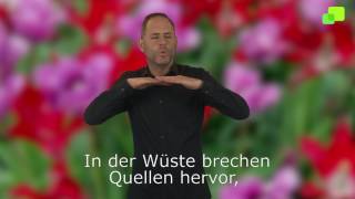 Platzhalter-Bild fuer YouTube-Video