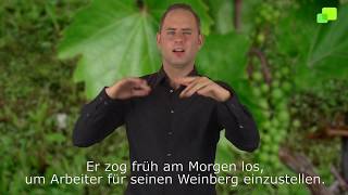 Platzhalter-Bild fuer YouTube-Video