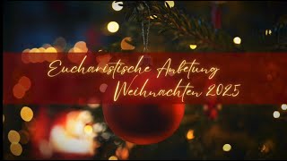 Platzhalter-Bild fuer YouTube-Video