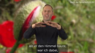 Platzhalter-Bild fuer YouTube-Video