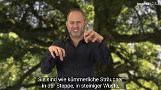 Platzhalter-Bild fuer YouTube-Video