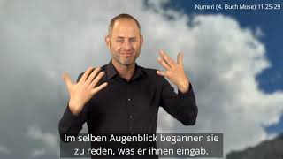 Platzhalter-Bild fuer YouTube-Video