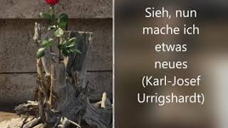 Platzhalter-Bild fuer YouTube-Video